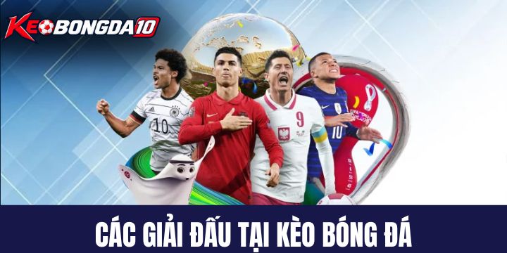 Các giải đấu được Kèo Bóng Đá cập nhật 