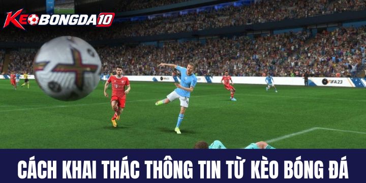 Cách khai thác thông tin từ Kèo Bóng Đá hiệu quả