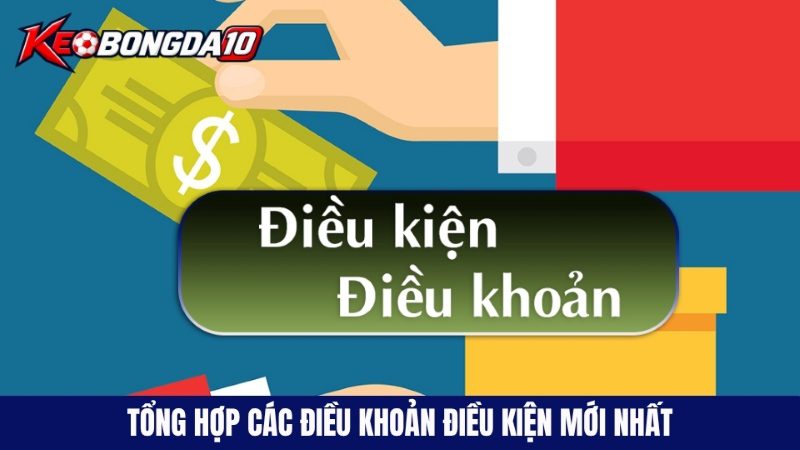 Tổng hợp về các điều khoản điều kiện mới nhất