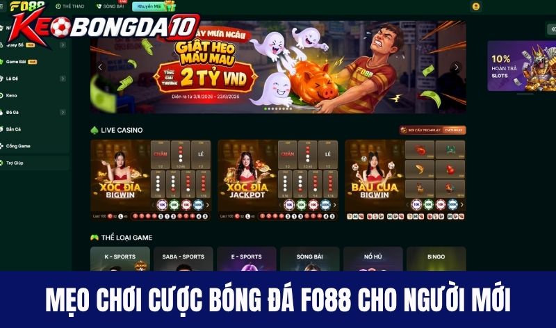 tong quan ve Fo88 Mẹo chơi cược bóng đá Fo88 cho người mới