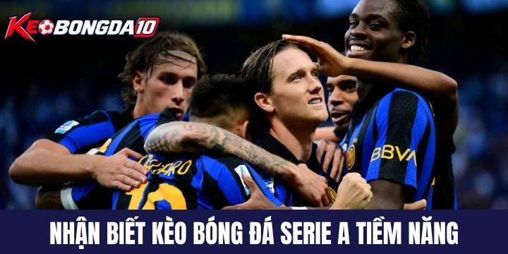Cách nhận biết kèo bóng tiềm năng qua biến động tỷ lệ