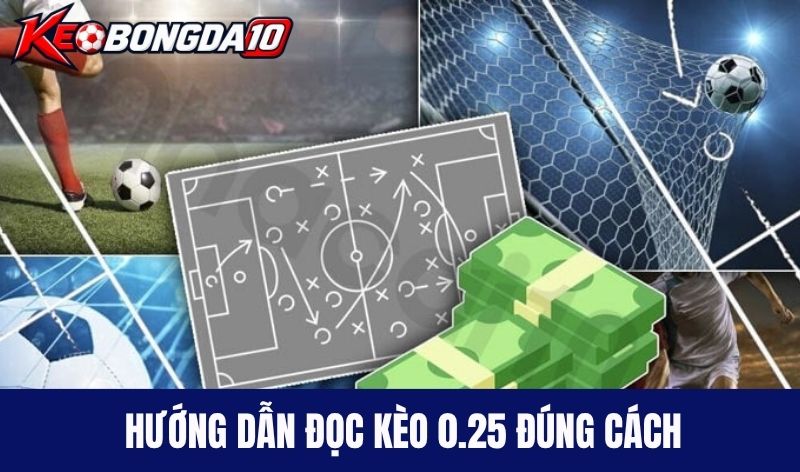 Hướng dẫn đọc kèo 0.25 đúng cách