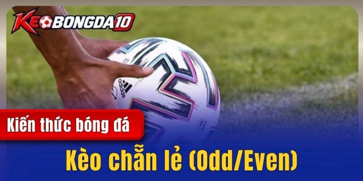 keo chan le 2026 Kèo chẵn lẻ (Odd/Even) - Những quy định trong cá độ bóng đá