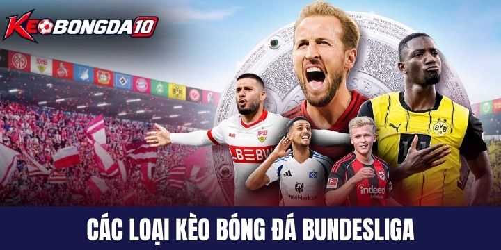 loai keo bong da bundesliga Những loại kèo kèo bóng đá Bundesliga chính