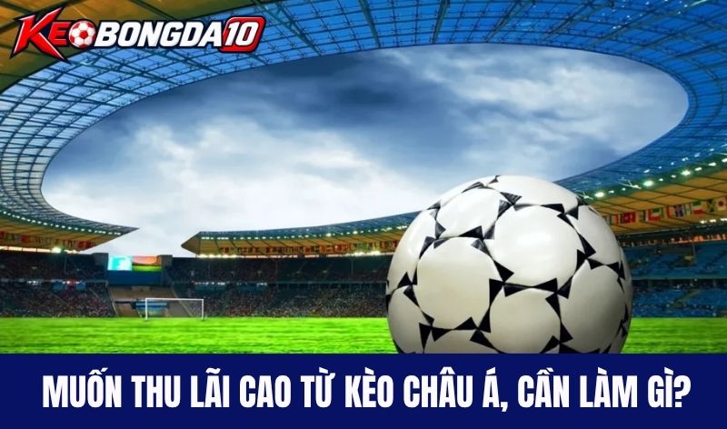 Muốn thu lãi cao từ kèo châu Á, cần làm gì?