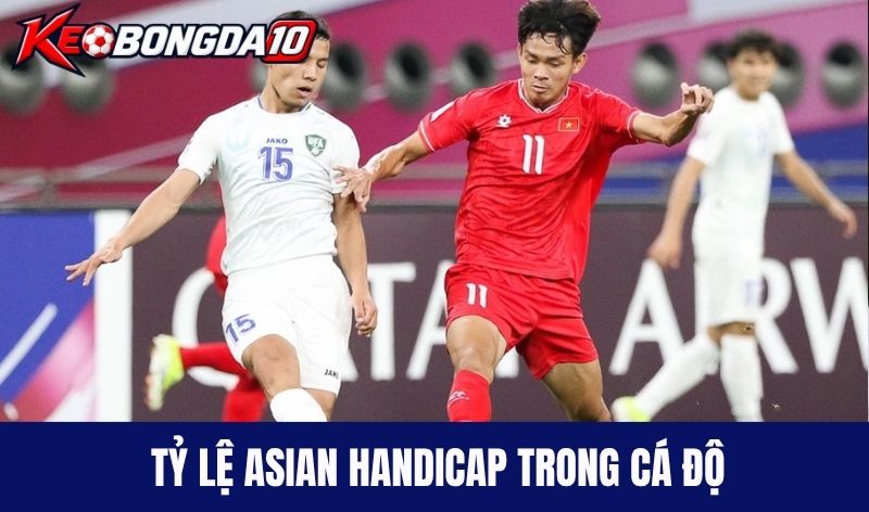 Tỷ lệ Asian Handicap thường gặp trong cá độ
