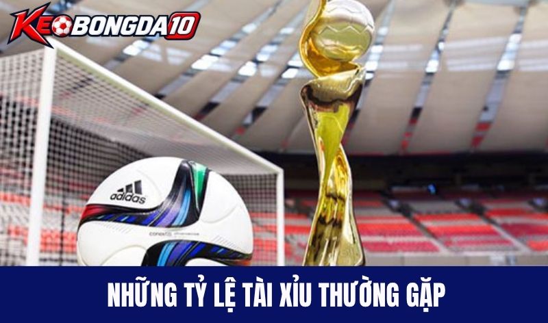 Những tỷ lệ tài xỉu thường gặp